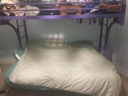 Photo of free Double bunk bed (Major's Green B90) #1