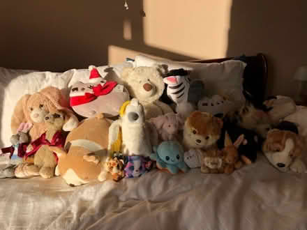 Photo of free Soft toys (Edgeside) #1