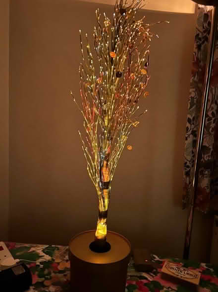 Photo of free Fibre optic twig tree (Headington Quarry OX3) #4