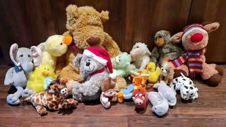 Photo of free Cuddly toys (HP12 Nr Booker Airfield) #1