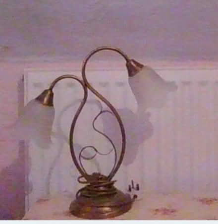 Photo of free Lamp (Selsley GL5) #1