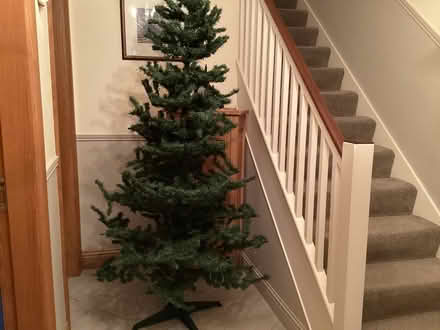 Photo of free 7 Foot Christmas Tree (Dublin 3) #1
