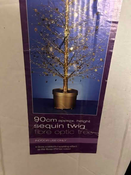 Photo of free Fibre optic twig tree (Headington Quarry OX3) #3