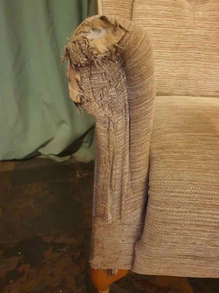 Photo of free 2 Seater Sofa + 2 x Chairs (Trowbridge BA14) #3