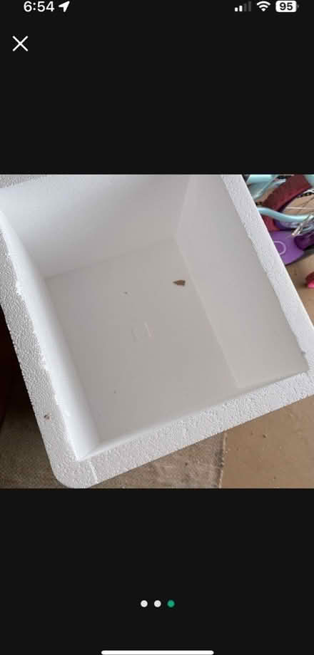 Photo of free 40 Freezer Packs Foam Thermal Chest (Central/east Phoenix) #3