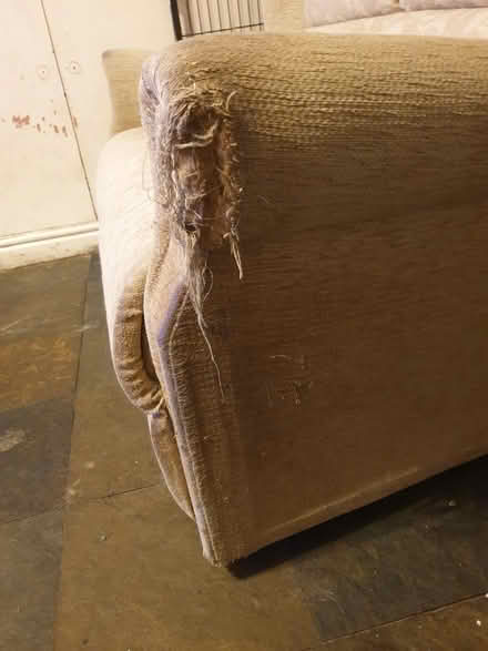 Photo of free 2 Seater Sofa + 2 x Chairs (Trowbridge BA14) #4