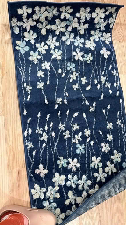 Photo of free 2x4ft rug (new) (Petworth) #1