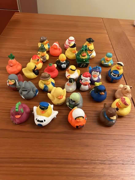 Photo of free 30 rubber ducks (Midtown Palo Alto) #2