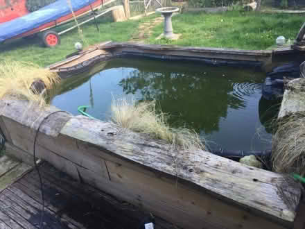 Photo of free Pond (East Runton NR27) #1