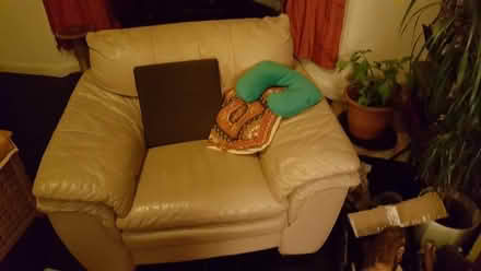 Photo of free Armchair ... leather (Divinity Road OX4) #2