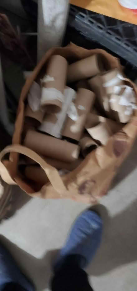 Photo of free TP rolls ...last minute class craft (Southwest evanston) #2