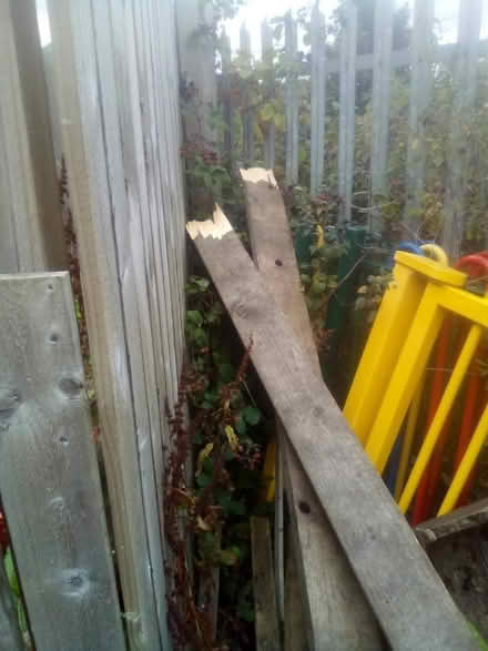 Photo of planks and boards (Abbeyhill EH7) #1