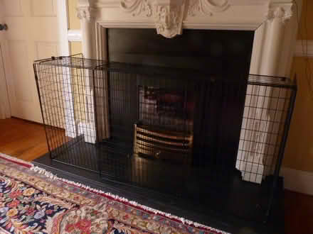 Photo of free Fireguard (Kirkintilloch area) #1