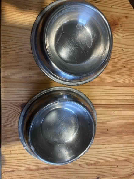 Photo of free Two metal cat/dog food/water bowls (E8) #1
