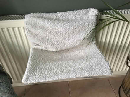 Photo of free Cat hammock (Tadmarton) #1
