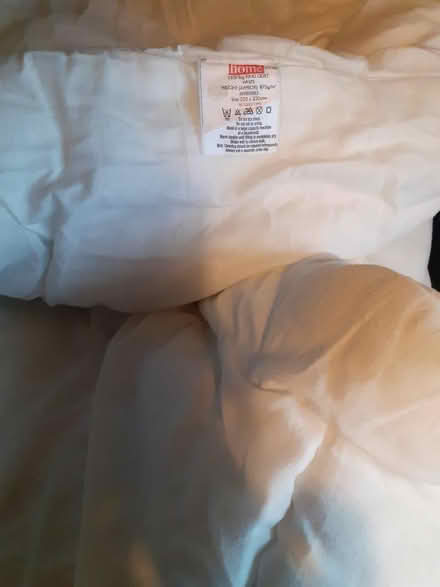 Photo of free Duvet (Combe Down) #1
