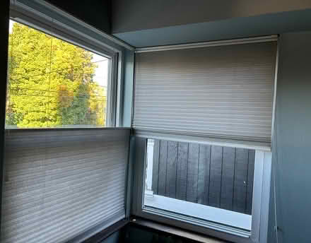 Photo of free Corded honeycomb blinds (Ballard) #3