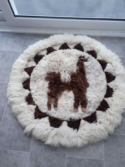 Photo of free Alpaca rug (Newlyn TR18) #1