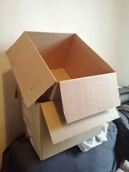 Photo of free cardboard boxes x 2 (Gorgie EH11) #1