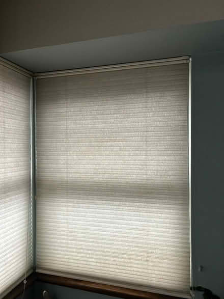 Photo of free Corded honeycomb blinds (Ballard) #2