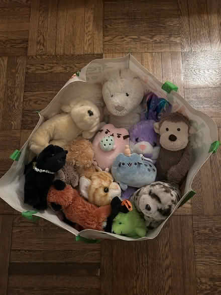 Photo of free Bag Plush Toys-PU by Friday 12/8 (UWS)