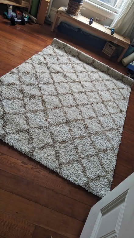 Photo of free Shag rug (Central Berkeley) #1