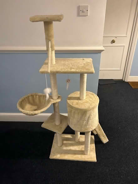 Photo of free Cat tree and scratching post (Streatham Hill) #1