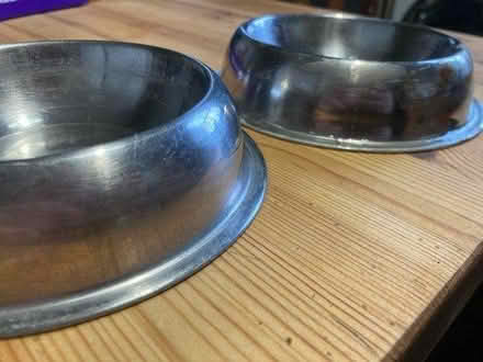 Photo of free Two metal cat/dog food/water bowls (E8) #2