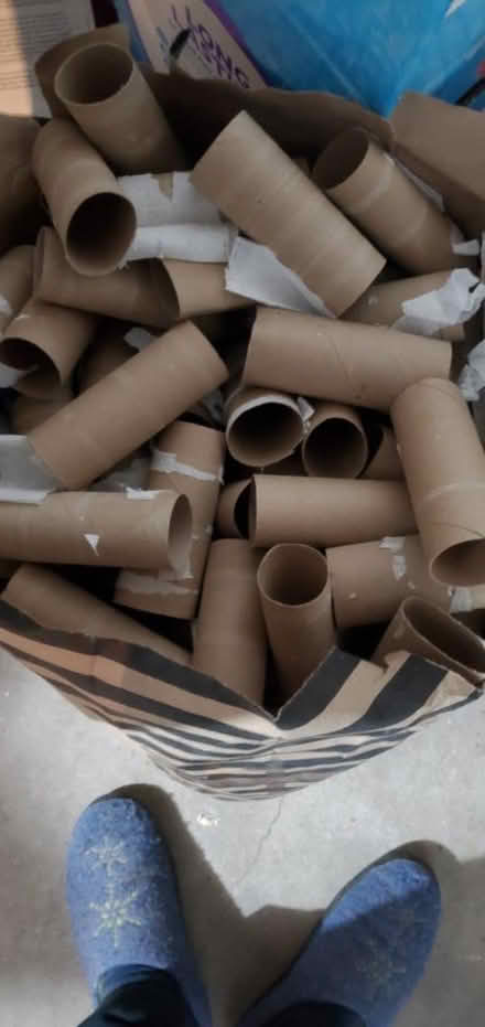 Photo of free TP rolls ...last minute class craft (Southwest evanston) #1