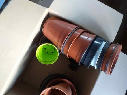 Photo of free plant pots (Preston PR5 5a) #3