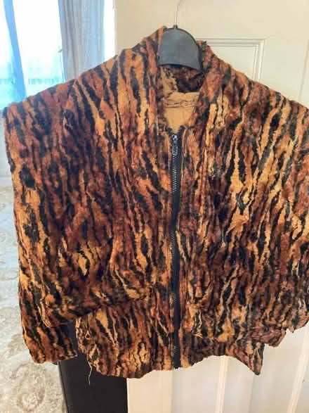 Photo of free Tiger costume (Round Green LU2) #1