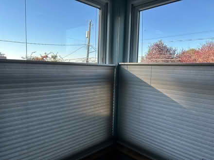 Photo of free Corded honeycomb blinds (Ballard) #4