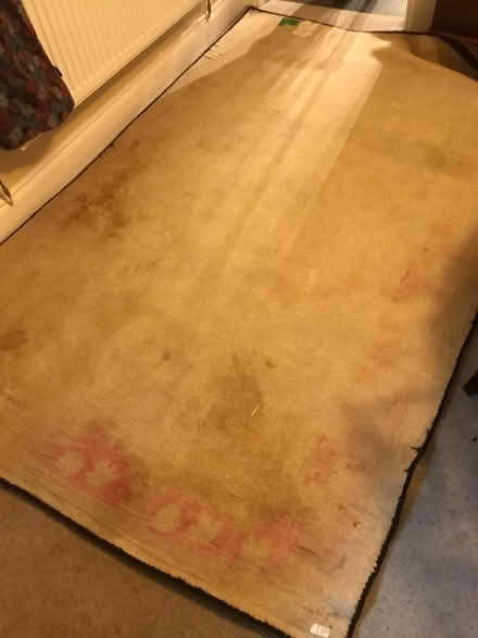 Photo of free Rug (Penrith CA11) #1