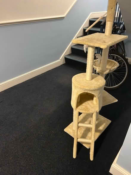 Photo of free Cat tree and scratching post (Streatham Hill) #2