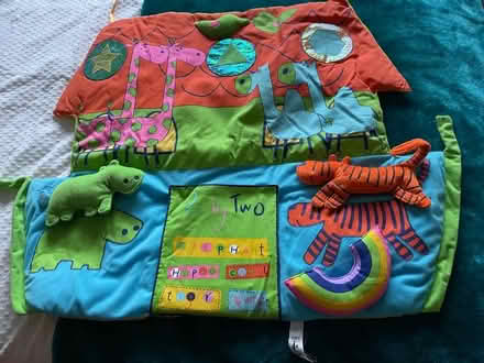 Photo of free Baby’s play mat (Drum Brae EH4) #1