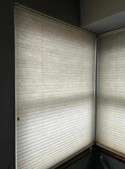 Photo of free Corded honeycomb blinds (Ballard) #1