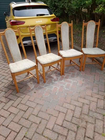 Photo of free Dining chairs (Tiptree CO5) #1