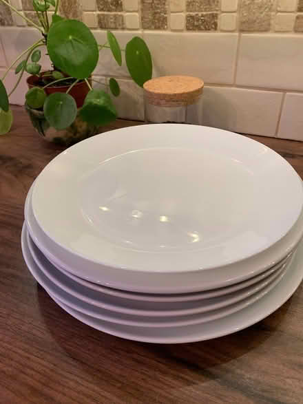 Photo of free White plates x6 (S7 Netheredge) #1