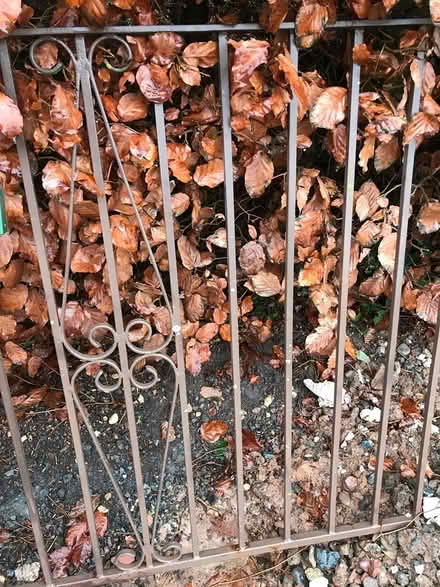 Photo of free Iron railings (HR1 northern edge of Hereford) #1