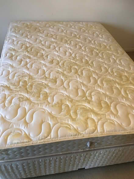 Photo of free Bed and mattress (Lytchett Matravers.) #3