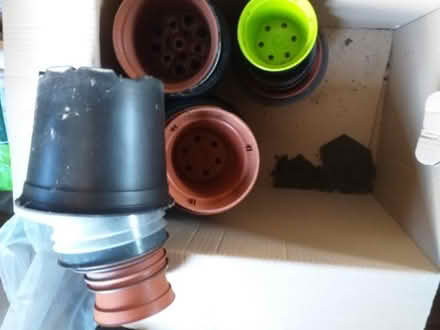 Photo of free plant pots (Preston PR5 5a) #1