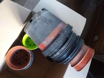 Photo of free plant pots (Preston PR5 5a) #4