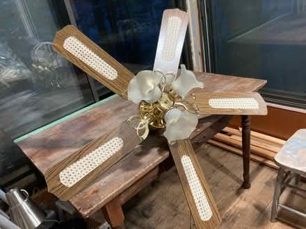 Photo of free Ceiling fan with lights (Carp Road and McGee Side Road) #1