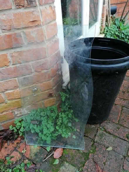 Photo of free Plate glass (Cainscross GL5) #1