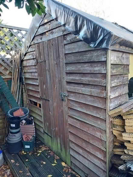 Photo of free Shed Pieces and Wood (Twickenham TW2) #3