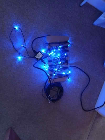 Photo of free Blue LEDs lights (Coal Aston S18) #1