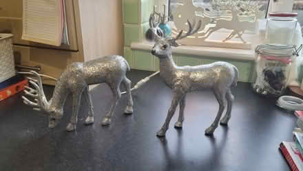 Photo of free Glitter reindeer (Kingsmoor CM19) #1