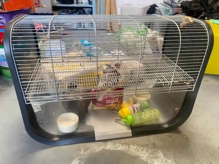 Photo of free Gerbil cage and accessories (Hoylake CH47) #1