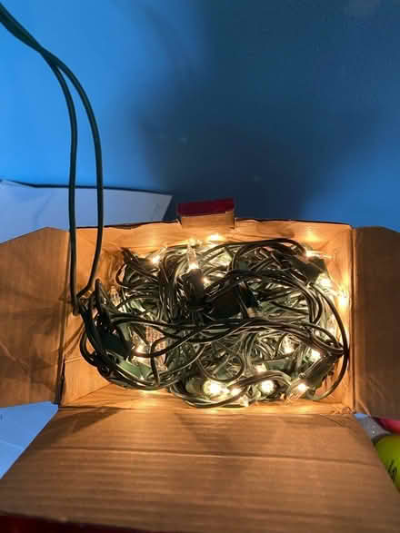 Photo of free Christmas Net Lights (Norbeck and Layhill Roads) #2
