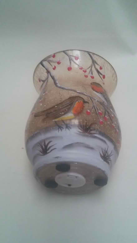 Photo of free Painted Robin Glass Lantern / Light (IM8) #2